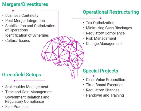 Strategic Initiatives & Special Projects