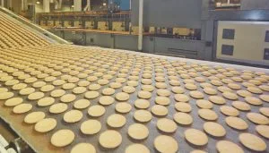 Food Processing Industry: A Sunrise Sector