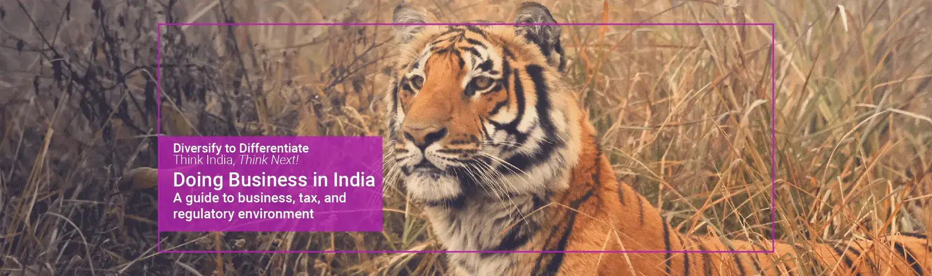 nexdigm-DBI-main-website-banner